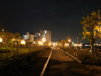 ヴェルニー公園（夜）その１.jpg