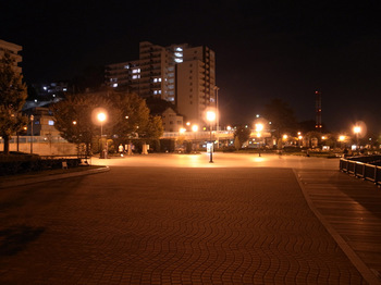 ヴェルニー公園（夜）その３.jpg