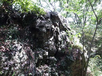 三毳山の岩.jpg