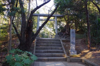 亥鼻公園（神明社）（２０１６年１月９日）.jpg