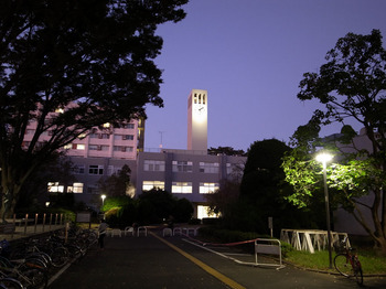 学芸大学構内の景色（２０１５年１１月）.jpg