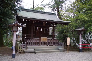 松尾神社（２０１６年１月６日）.jpg